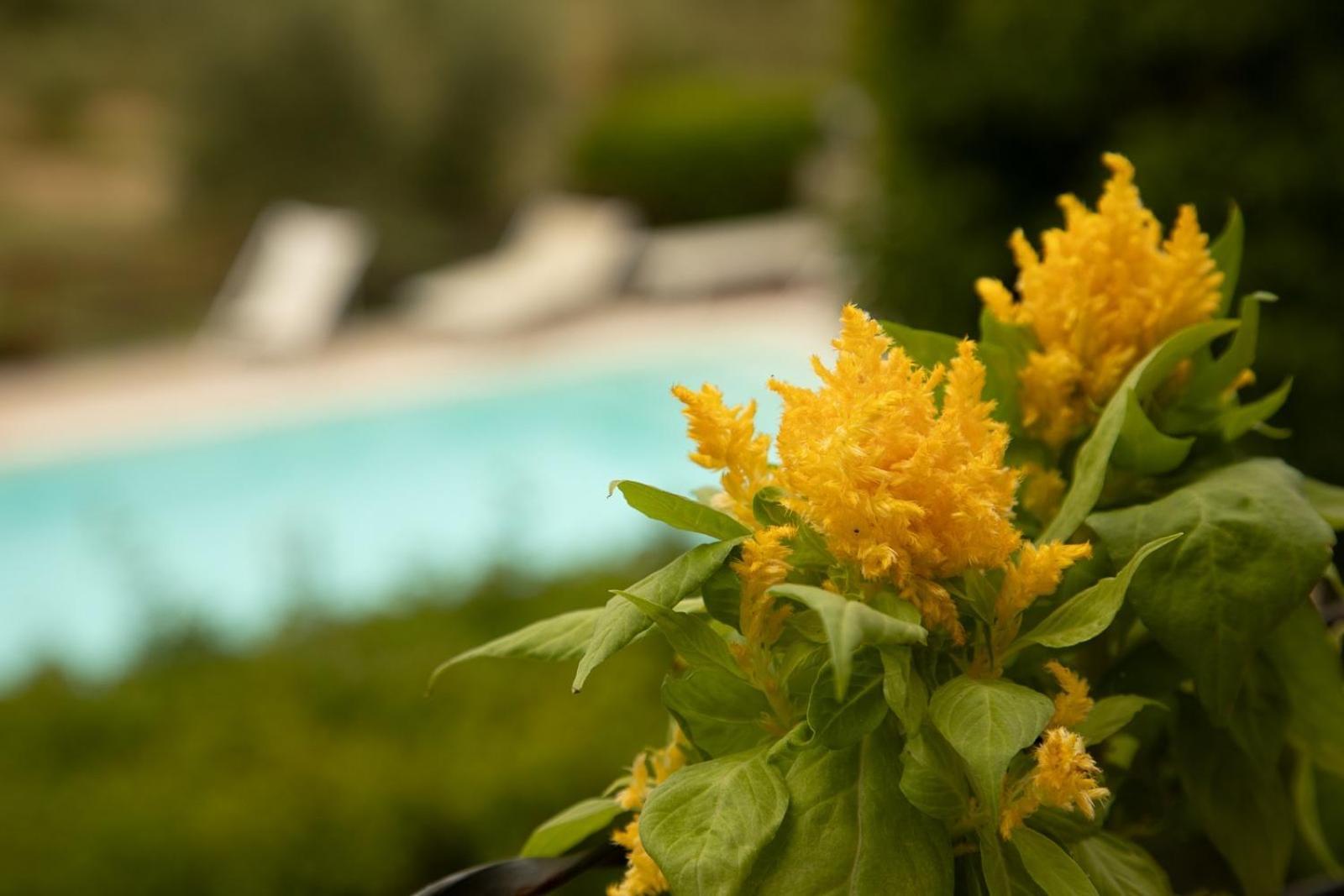 Agriturismo Podere Acqualoreto ภายนอก รูปภาพ